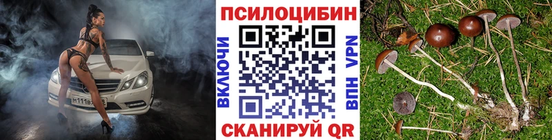 кракен как зайти  Пересвет  Галлюциногенные грибы GOLDEN TEACHER  сколько стоит 